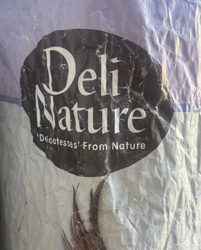 أكل لطيور البادجي 2