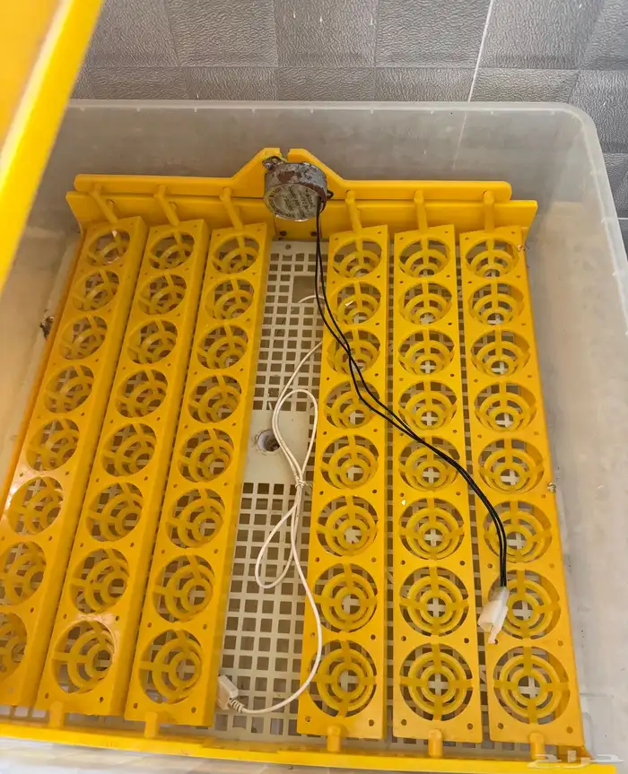 فقاصه للبيع 0