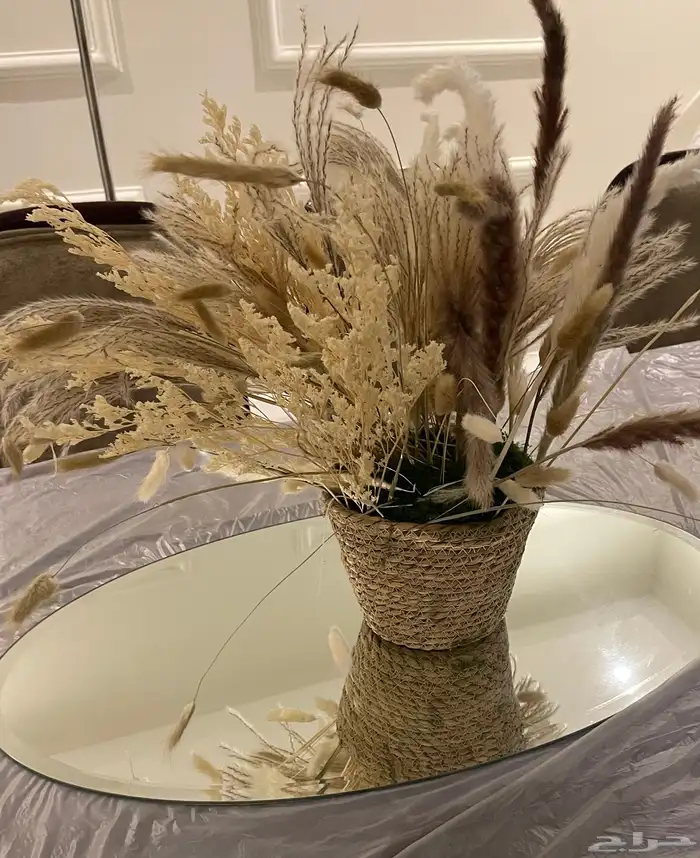 مجموعه من الشجيرات الكبار الوحده بميه والصغار الوحد ب50 2