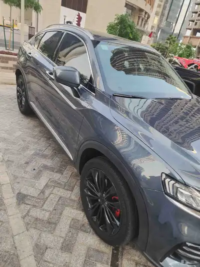 توجيلا 2022 فل كامل index