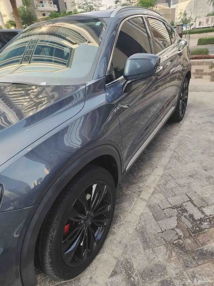 توجيلا 2022 فل كامل 9