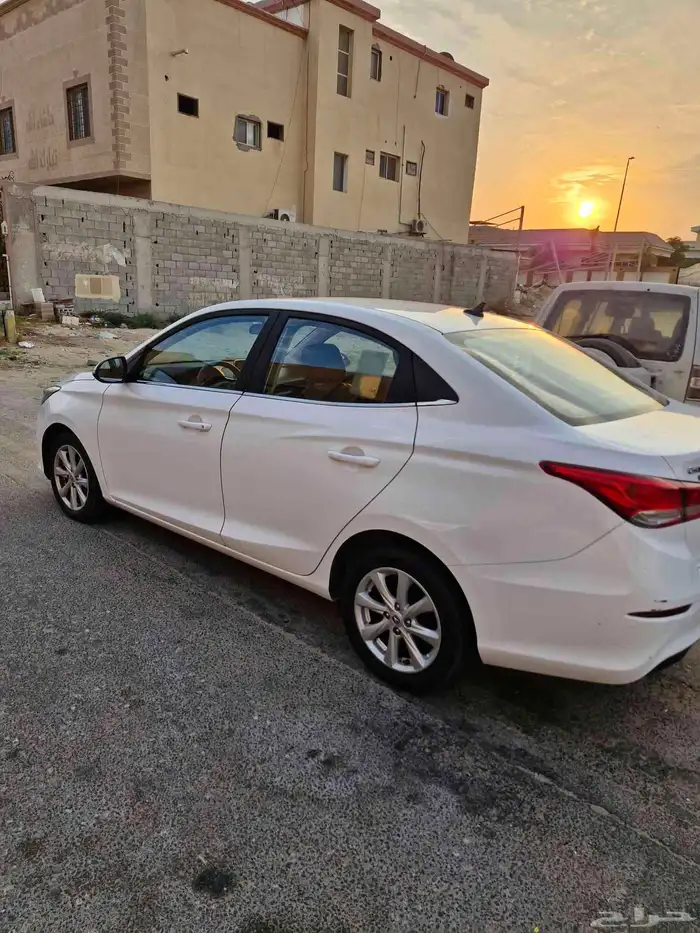 شنجان السفن 2020 فل كامل 20