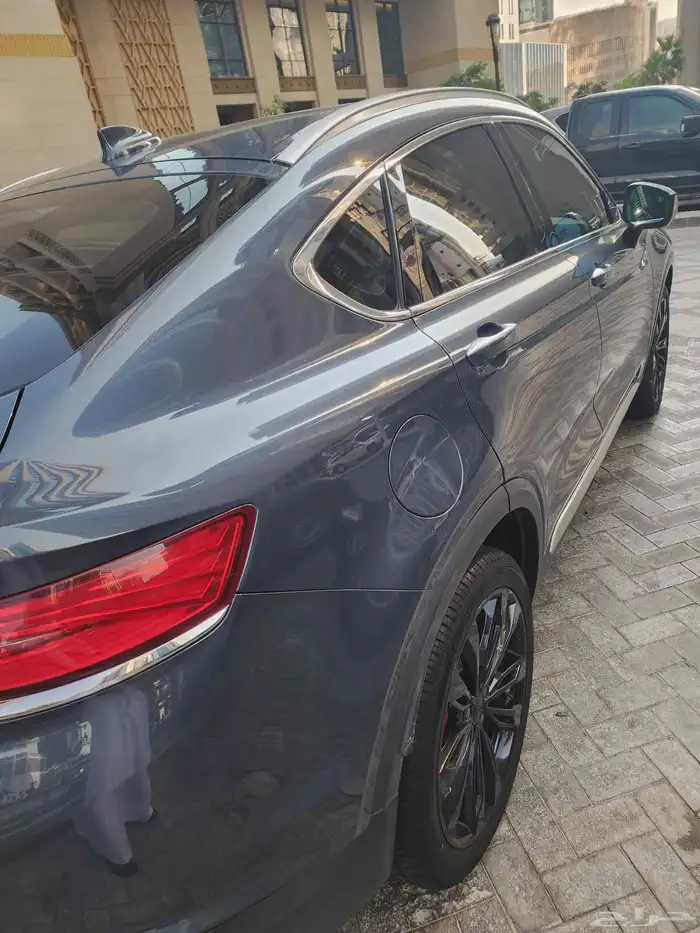 توجيلا 2022 فل كامل 11