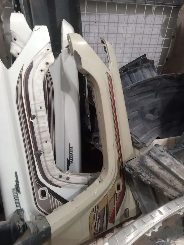 كبوت رفارف شاص 4