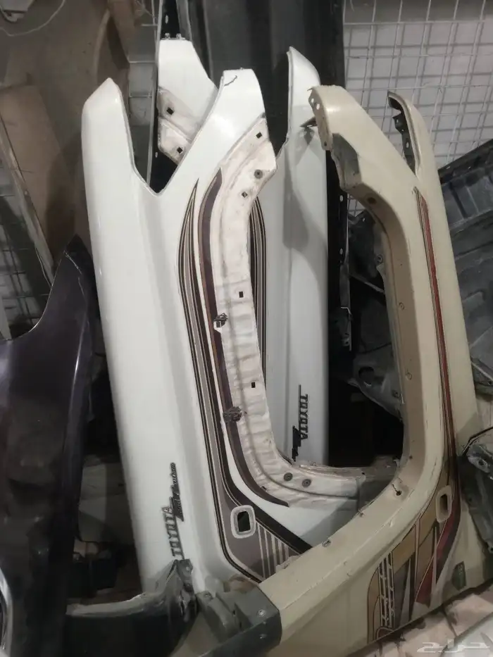 كبوت رفارف شاص 5