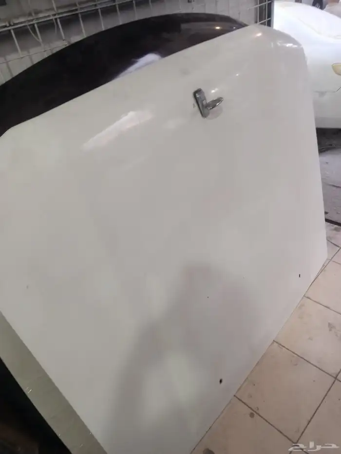 كبوت رفارف شاص 2