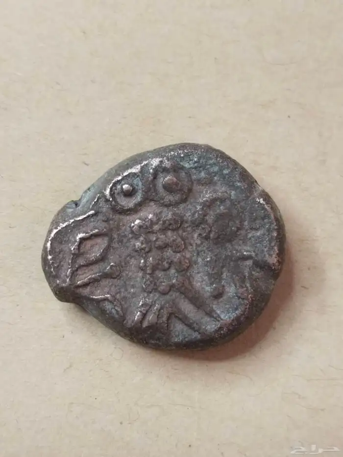 عملة البومة الحيانية من النوادر ضرب العلا قبل الميلاد 3