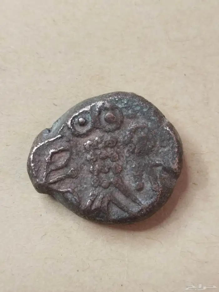 عملة البومة الحيانية من النوادر ضرب العلا قبل الميلاد 1