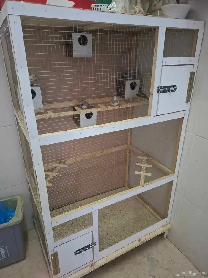 للبيع شبك مع طيور زيبرا العدد 8 1