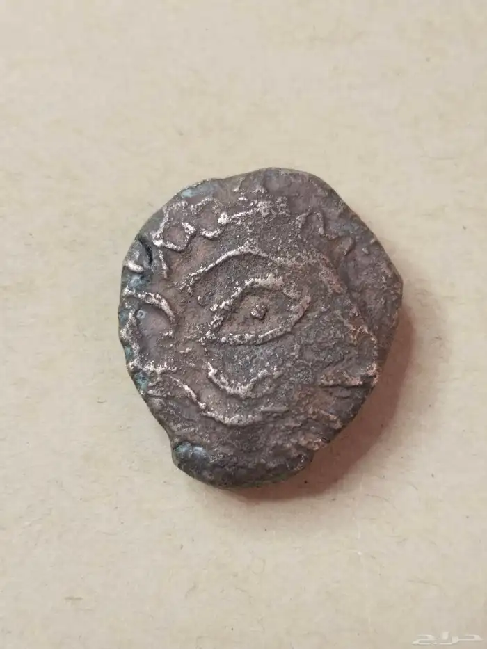 عملة البومة الحيانية من النوادر ضرب العلا قبل الميلاد 2