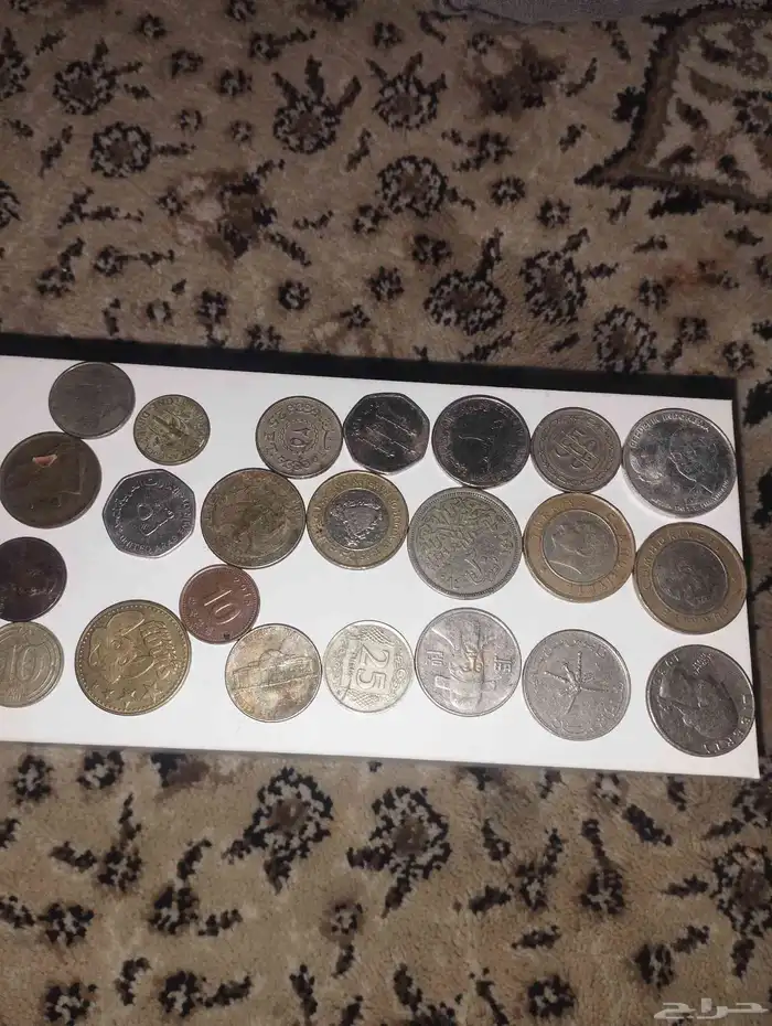 المدينه المنوره 0