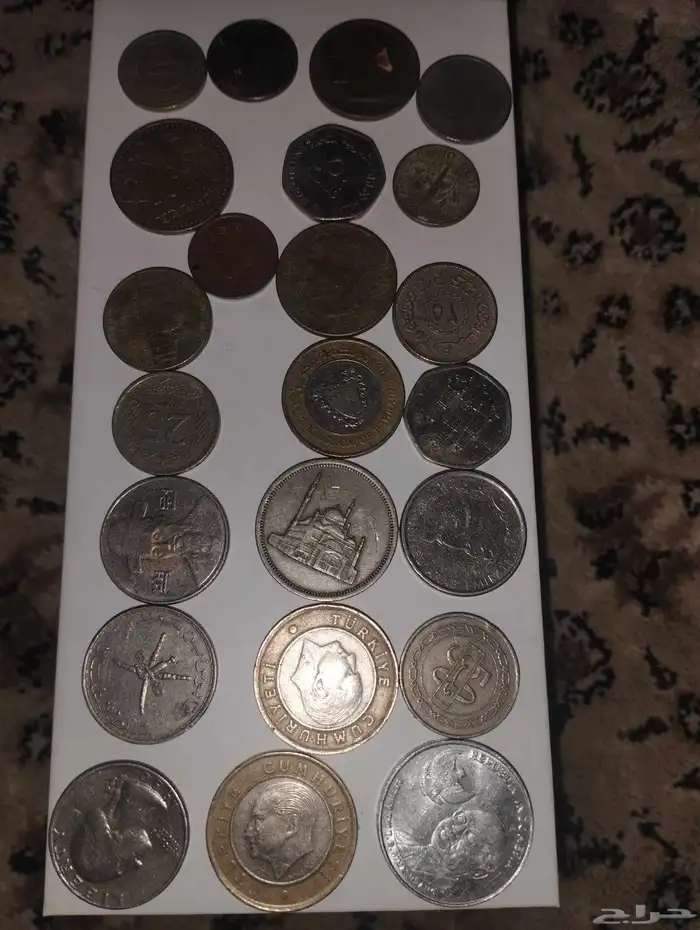 المدينه المنوره 1