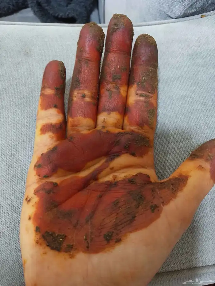 عينه حنا طبيعي جاهز وهذة الون 2