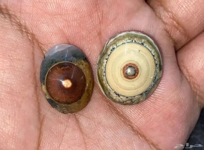 خاتم عقيق كرزي 4