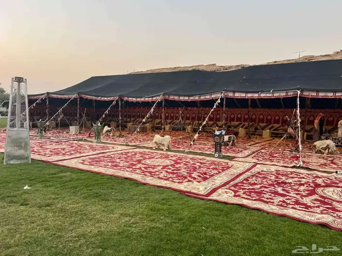 كنب جلسات شعبيه قهوجين صبابين 6