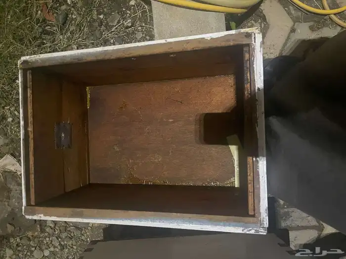 خلايا نحل للبيع افرنجي 8 بروز 2