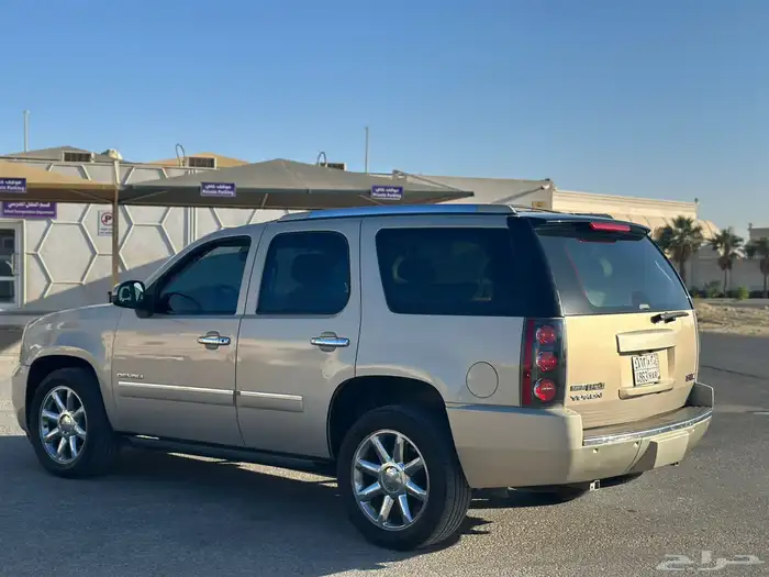 دينالي 2010 21