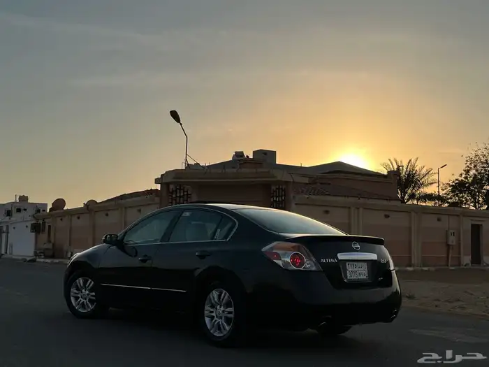 التيما 2010 16