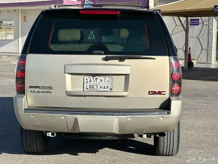 دينالي 2010 20