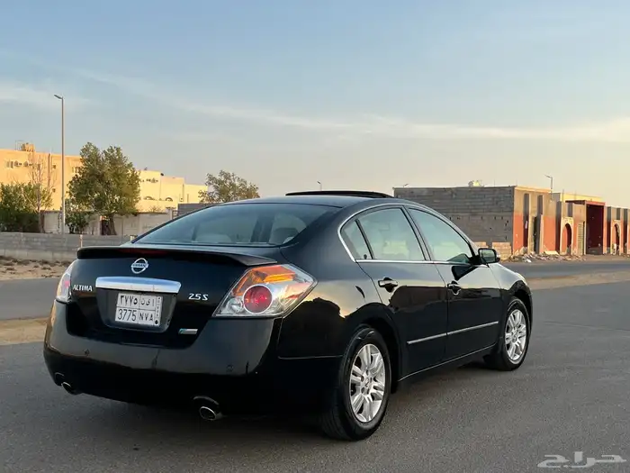 التيما 2010 10