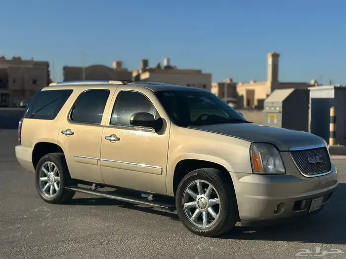 دينالي 2010 18