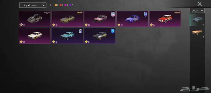 حساب ببجي للبيع 14