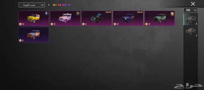 حساب ببجي للبيع 15