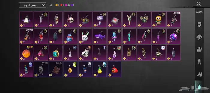 حساب ببجي للبيع 12