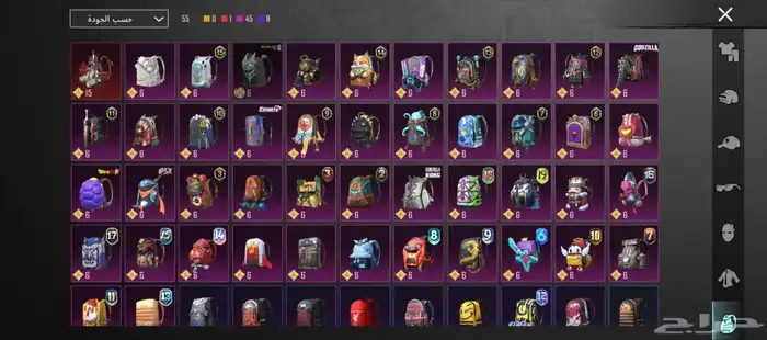 حساب ببجي للبيع 9