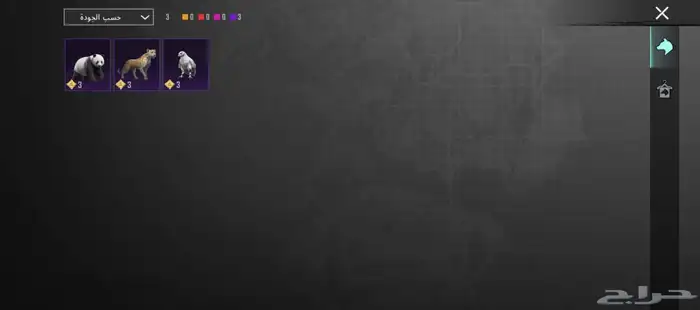 حساب ببجي للبيع 19