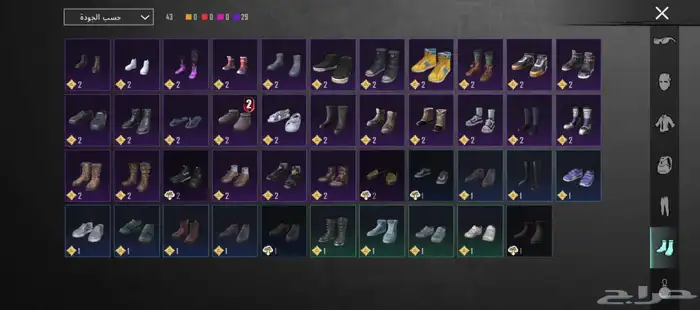 حساب ببجي للبيع 11