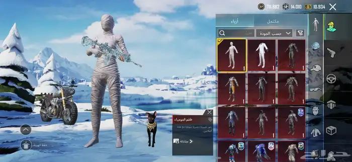 حساب ببجي لفل الحساب 81 للبيع 9