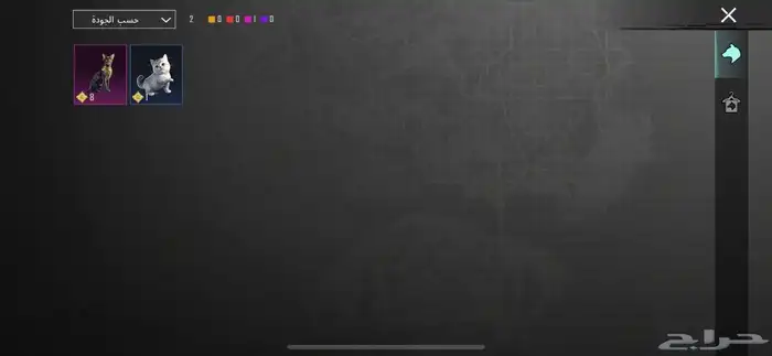 حساب ببجي لفل الحساب 81 للبيع 3