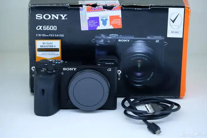 Sony a6600 Mirrorless Camera 10
