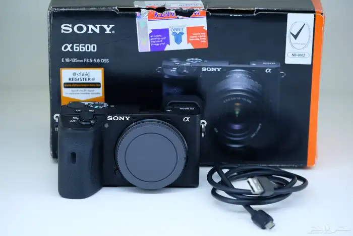 Sony a6600 Mirrorless Camera 9