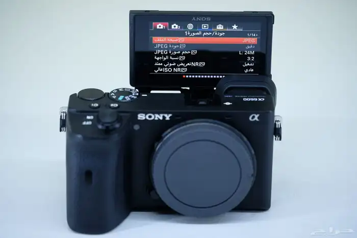 Sony a6600 Mirrorless Camera 8