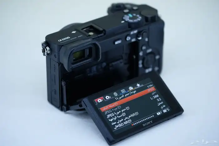 Sony a6600 Mirrorless Camera 7