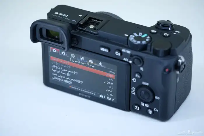 Sony a6600 Mirrorless Camera 5
