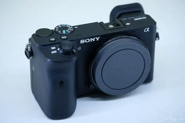 Sony a6600 Mirrorless Camera 2