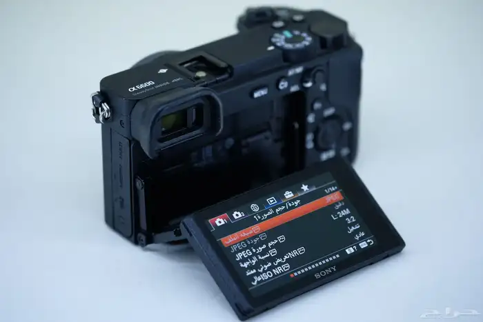 Sony a6600 Mirrorless Camera 6