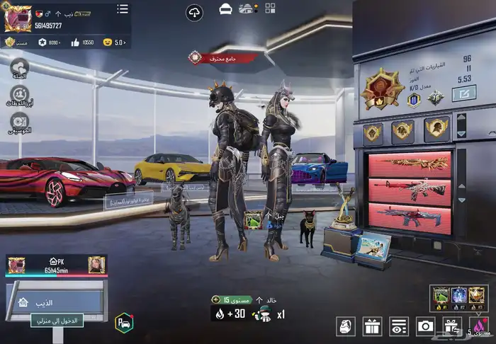 حساب ببجي متعوب ومدفوع عليه البيع وجه لوجه فقط بدون وسيط 21