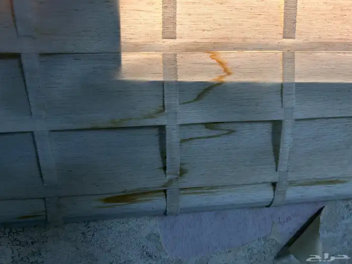 ستارة رول 50ريال 2