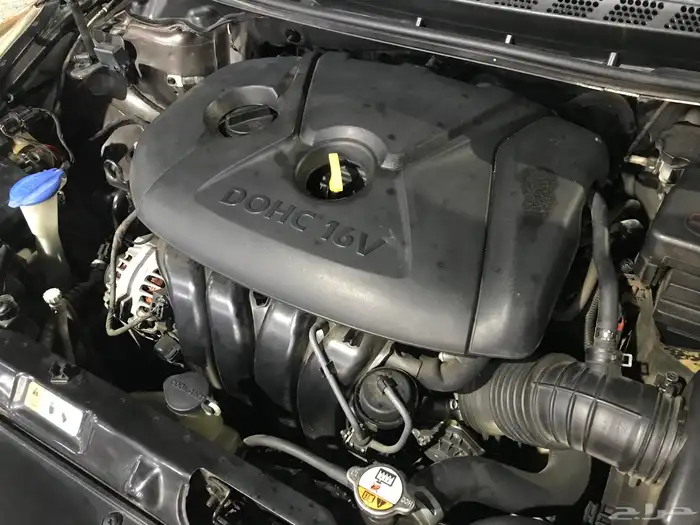 النترا 2015 20