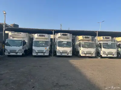 المدينة المنورة index