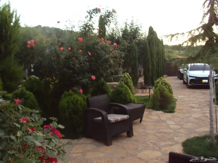 كاميرا ديجيتال سوني سايبر شوت 1