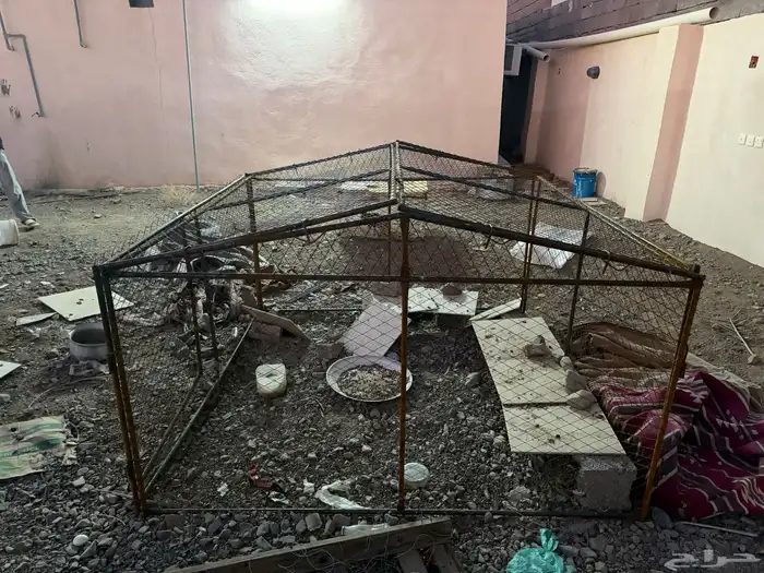 شبك دجاج للبيع. تم البيع 0