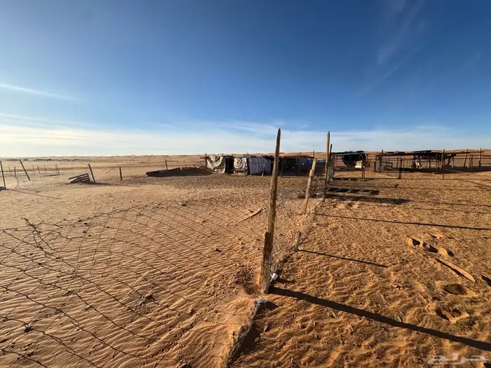 شبوك غنم ومضلات ومعلف وحنفيه 1000 5