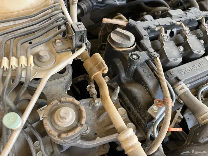 هوندا اكورد المديل 2020 أستاندر سعوديه وارد عبدالله هاشم 78