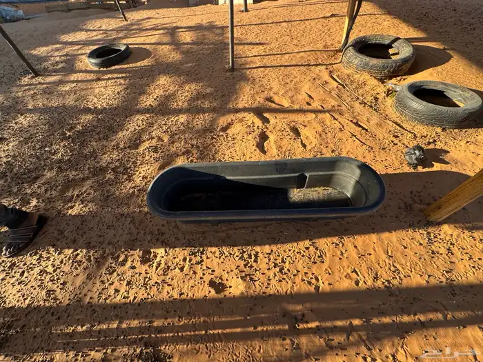 شبوك غنم ومضلات ومعلف وحنفيه 1000 9