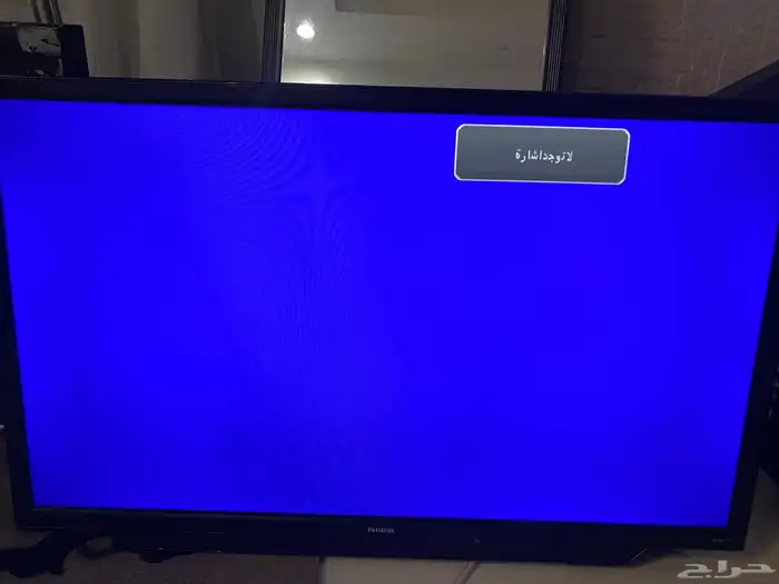 بلازما شاشه صغيره وعود مصري 0